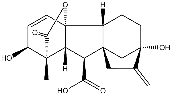 赤霉素GIBBERELLIC ACID，居然有這么神奇？